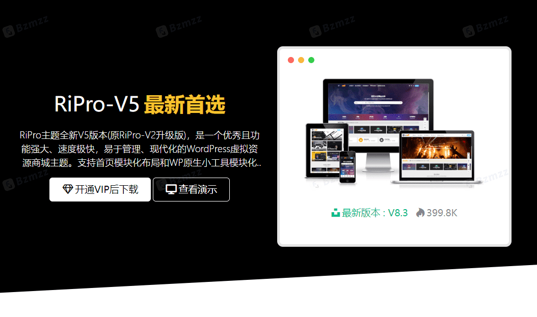 RiPro-V5主题官方购买